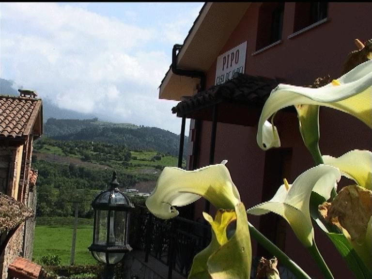 Casa Rural Casa Pipo Colunga Kültér fotó